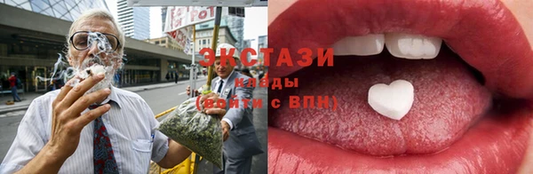 индика Магас