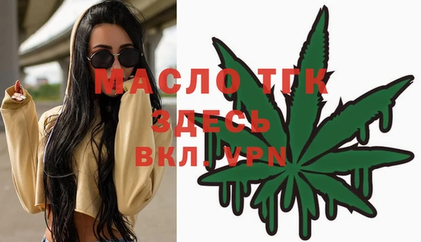 индика Магас