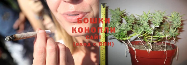 индика Магас