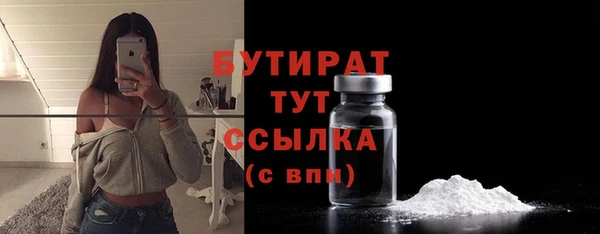 индика Магас