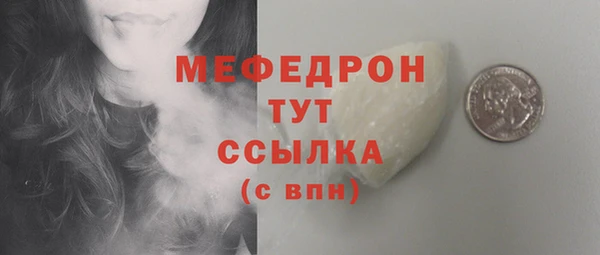 индика Магас