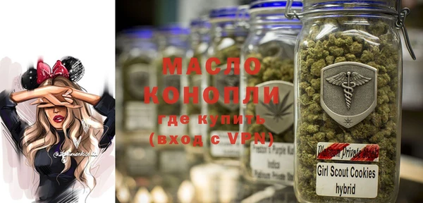 индика Магас