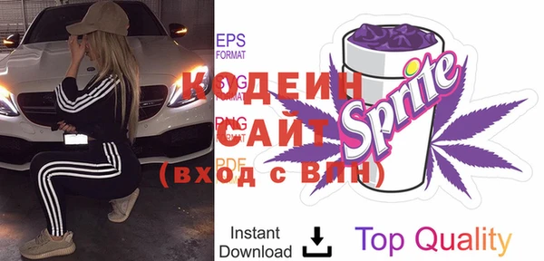 индика Магас