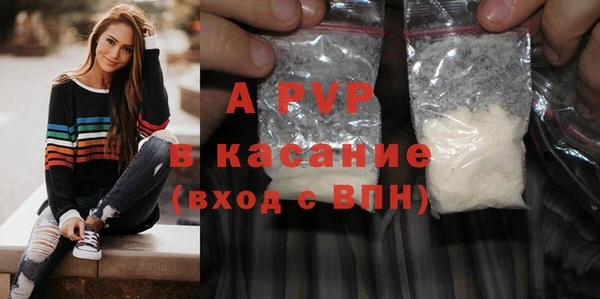 индика Магас