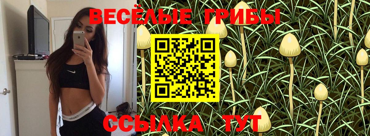 Псилоцибиновые грибы Psilocybine cubensis  Тайшет 