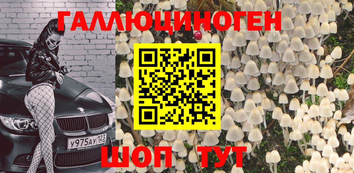 Тайшет  Псилоцибиновые грибы мухоморы  Вход с VPN 