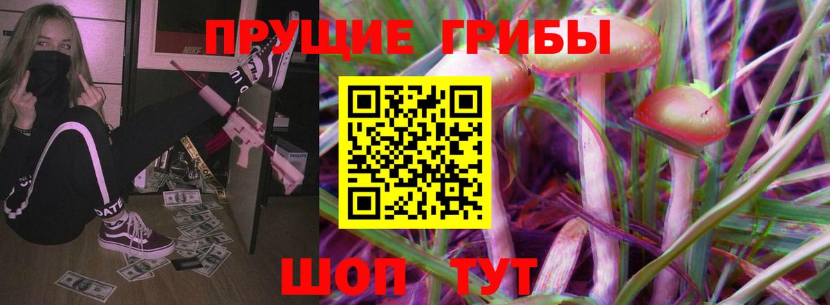 Псилоцибиновые грибы GOLDEN TEACHER Тайшет